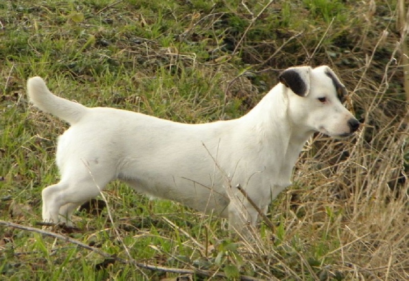 Jacotte Du Moulin Sault