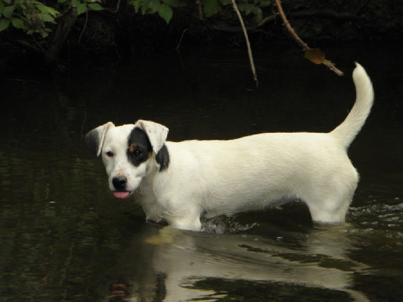 Jacotte Du Moulin Sault