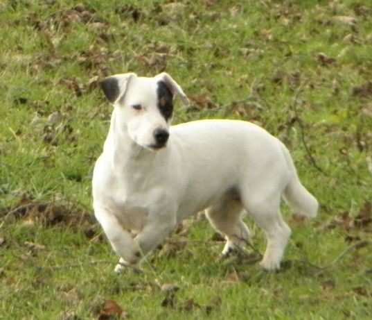 Jacotte Du Moulin Sault