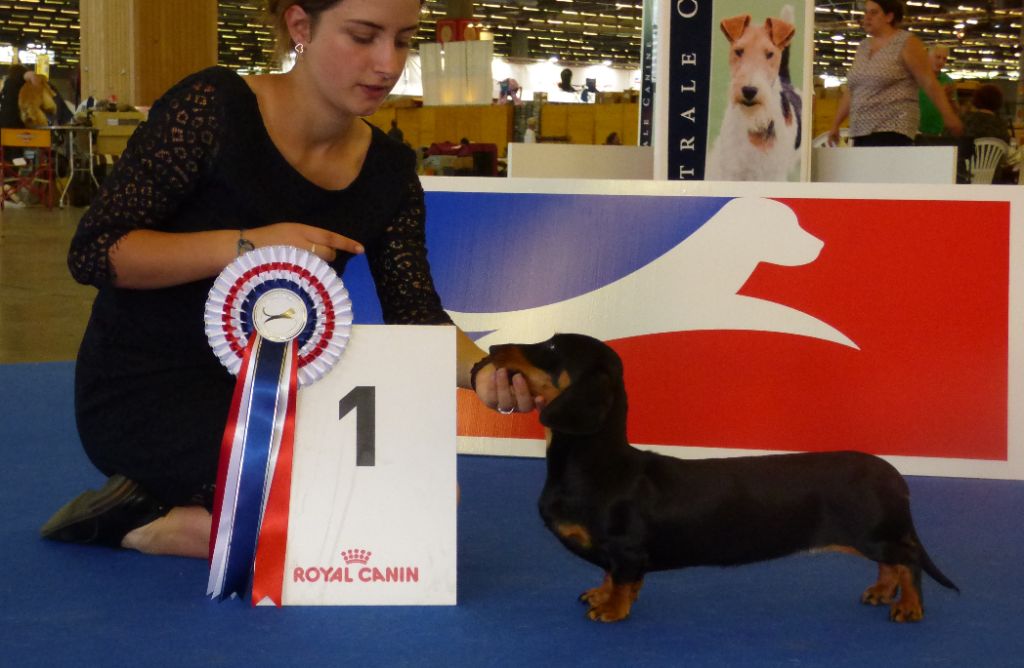 Du Moulin Sault - Osiris Championne de France Jeune